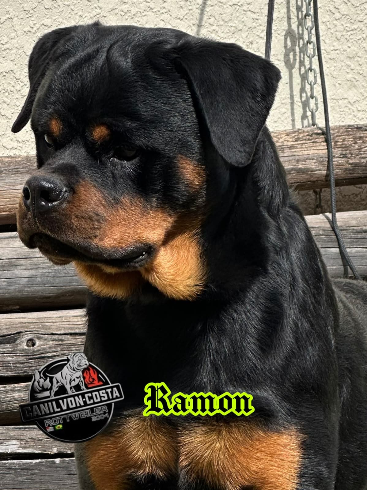 Ramon Advanced von Costa, Rottweiler do Canil Von-Costa